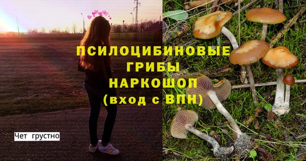 герыч Лиски