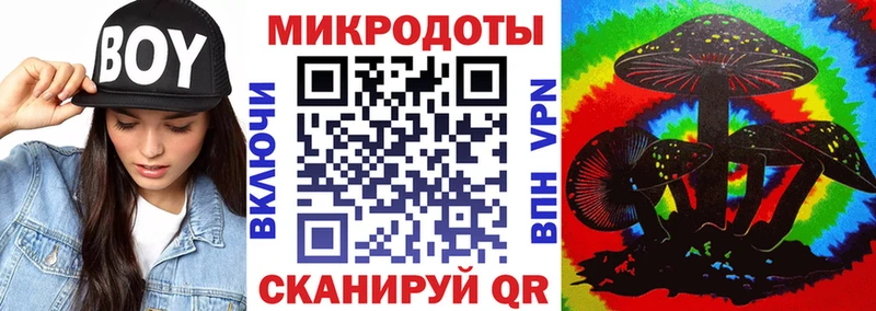 Галлюциногенные грибы Magic Shrooms  купить наркоту  Невинномысск 