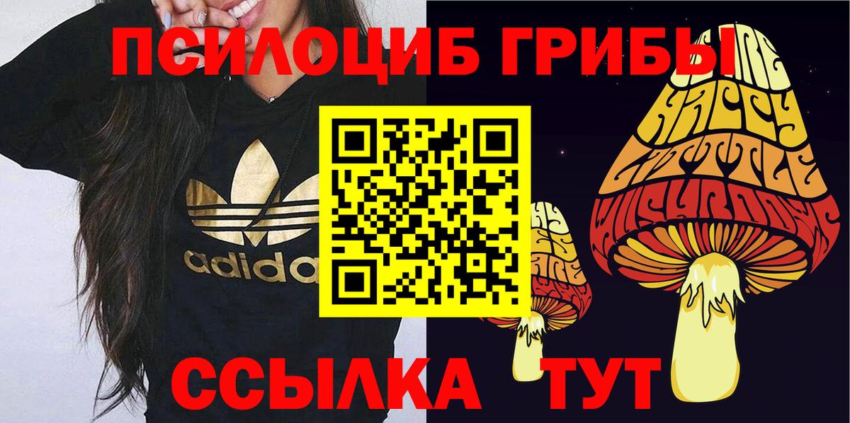 Галлюциногенные грибы GOLDEN TEACHER  Невинномысск 