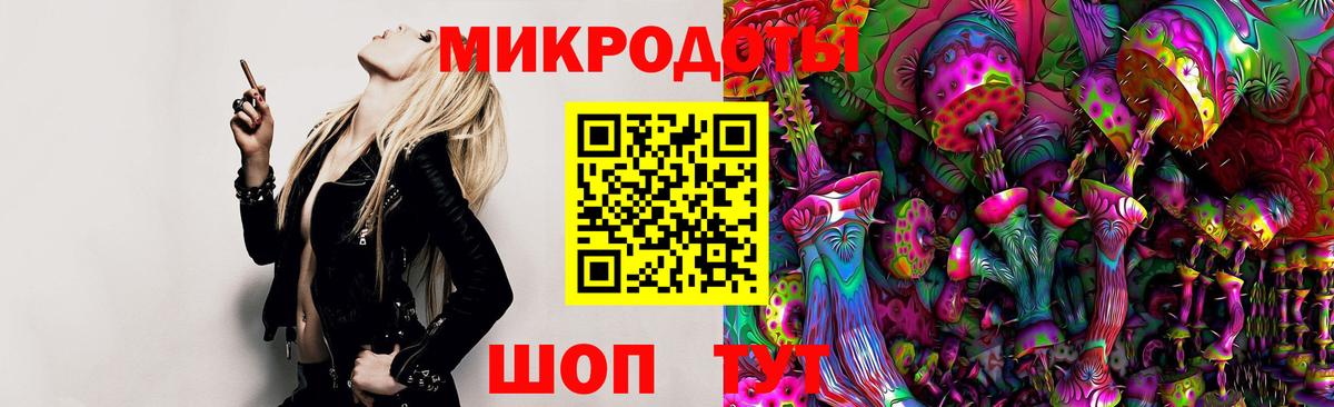 Галлюциногенные грибы Cubensis Невинномысск