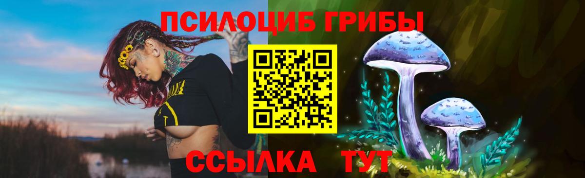 Невинномысск  Псилоцибиновые грибы Psilocybine cubensis  Галлюциногенные грибы Magic Shrooms  Вход с VPN 